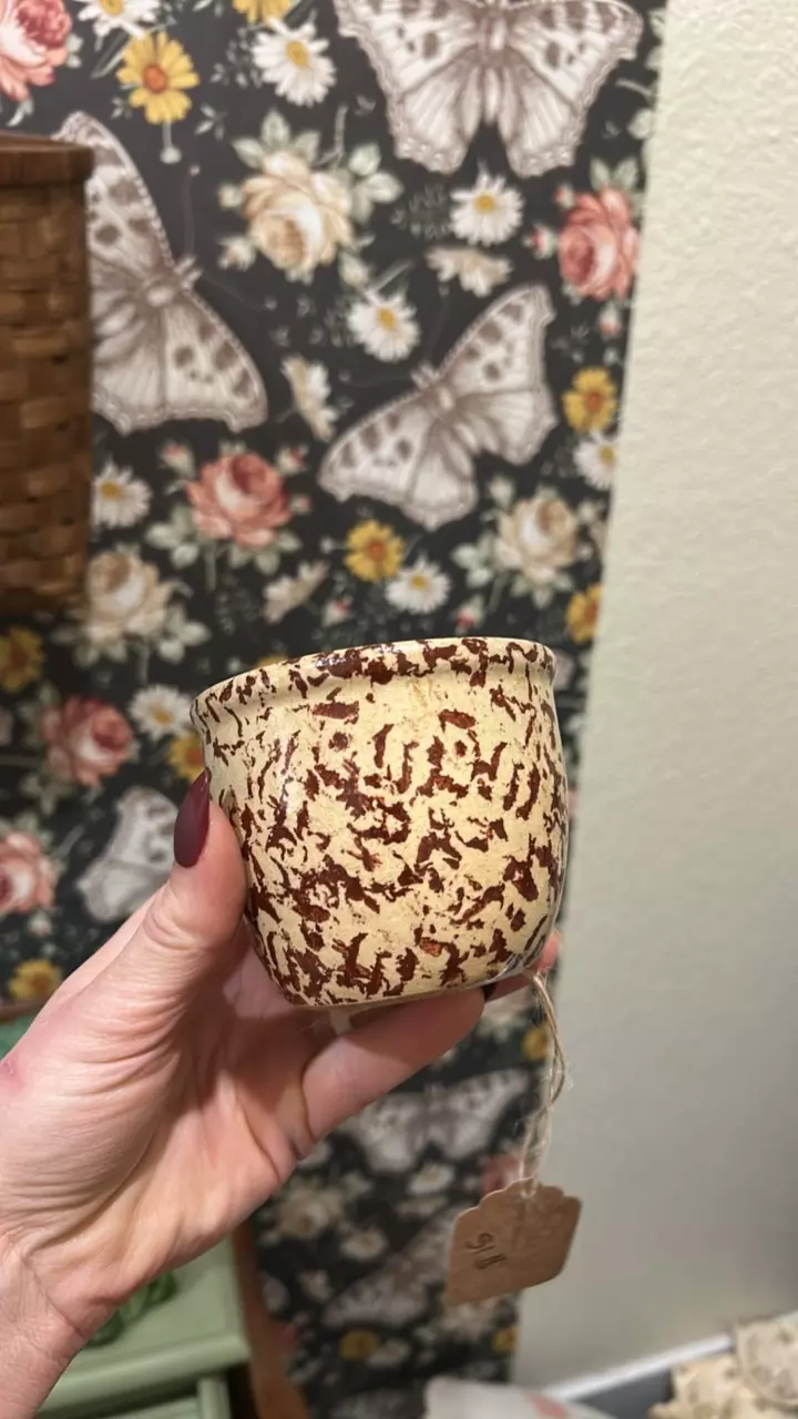 plant/Robinson ransbottom spongewear-0