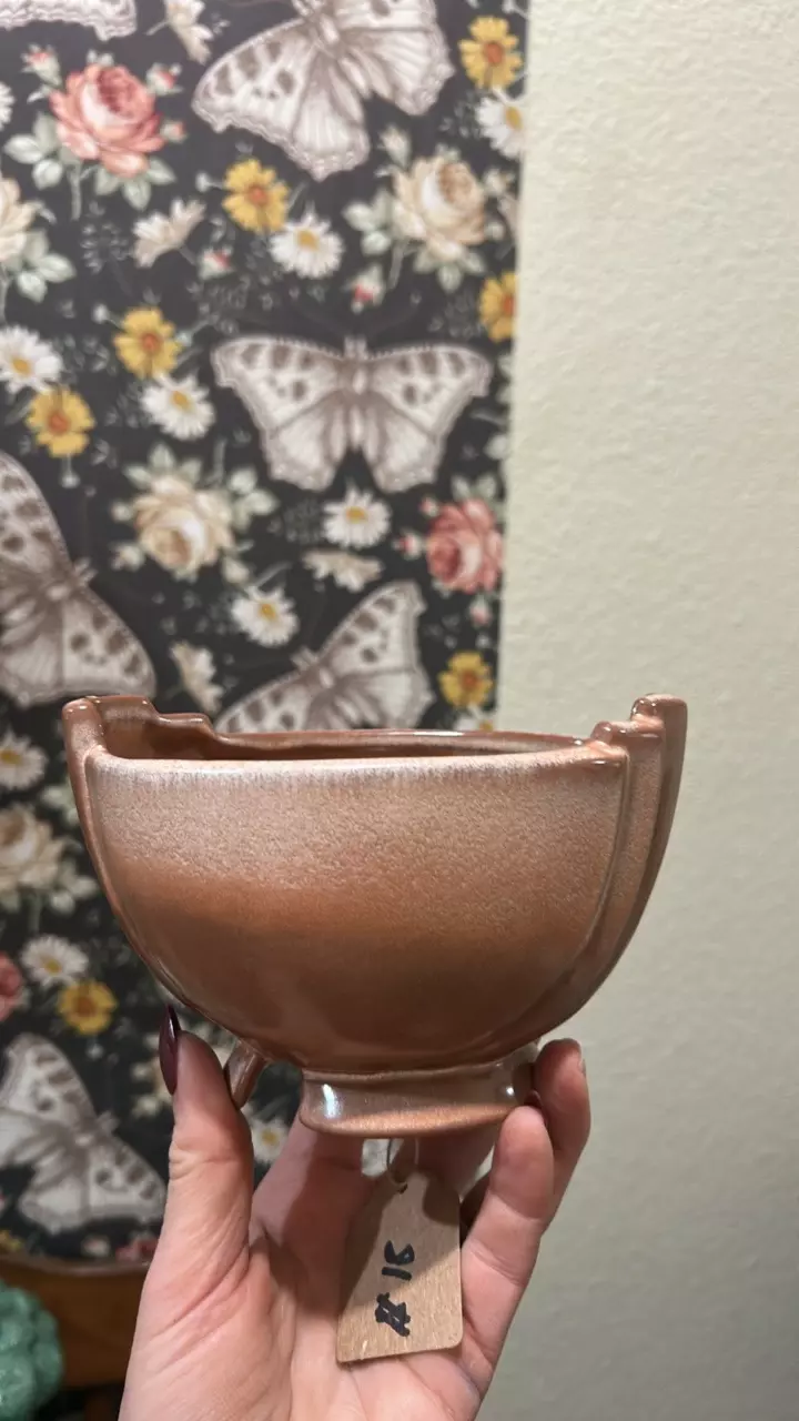 plant/Frankoma pottery bowl-0