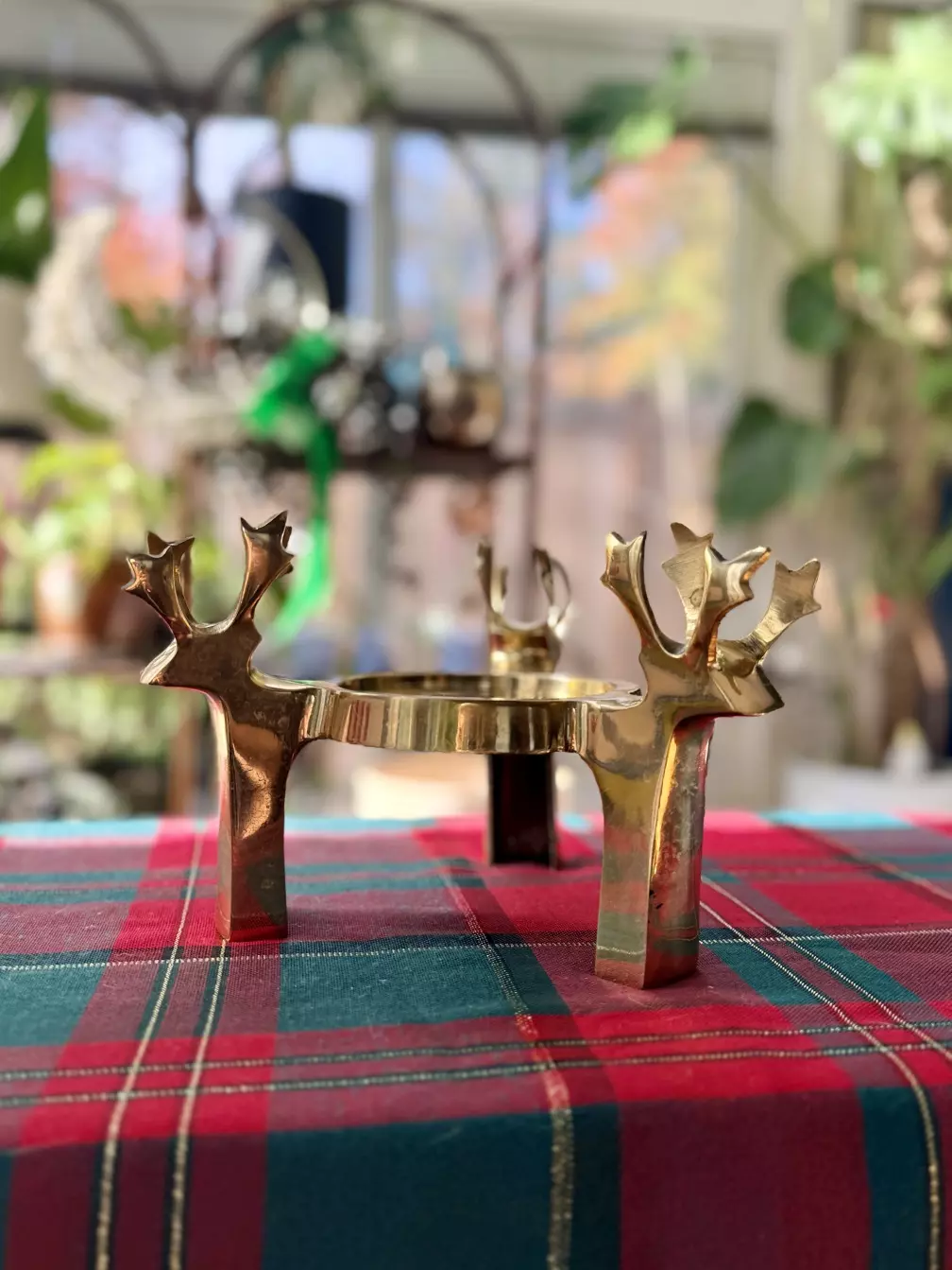 plant/Brass reindeer stand-0