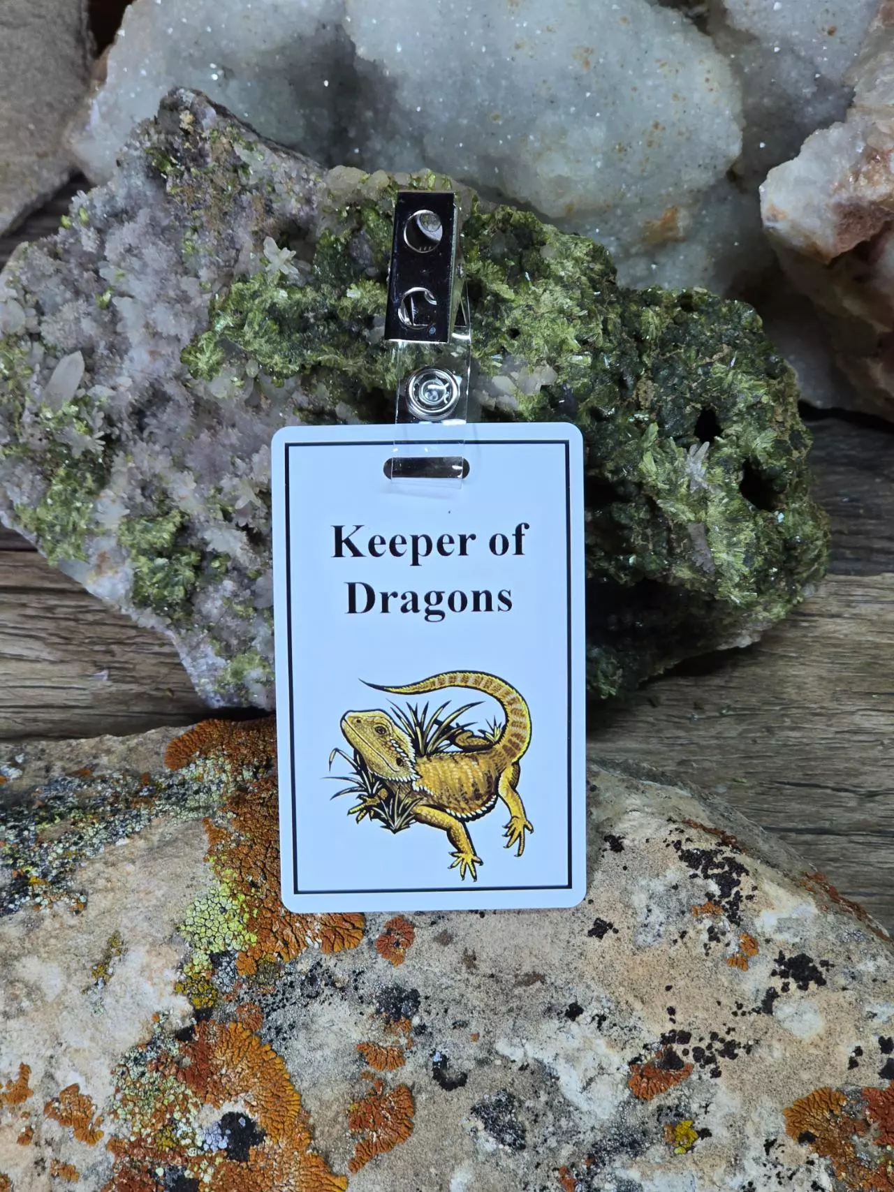 plant/Bearded Dragon Badge-0