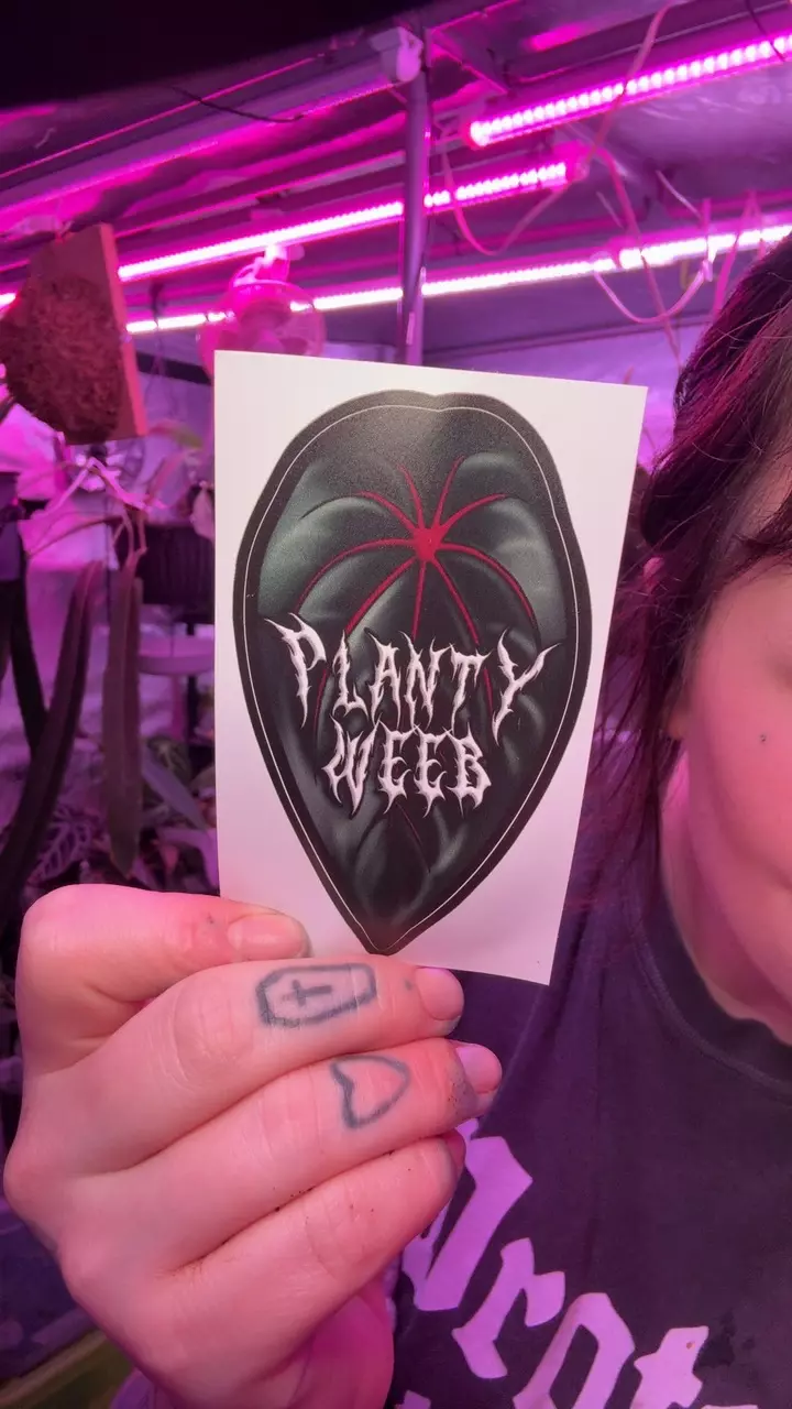 plant/Weeb Sticker-0