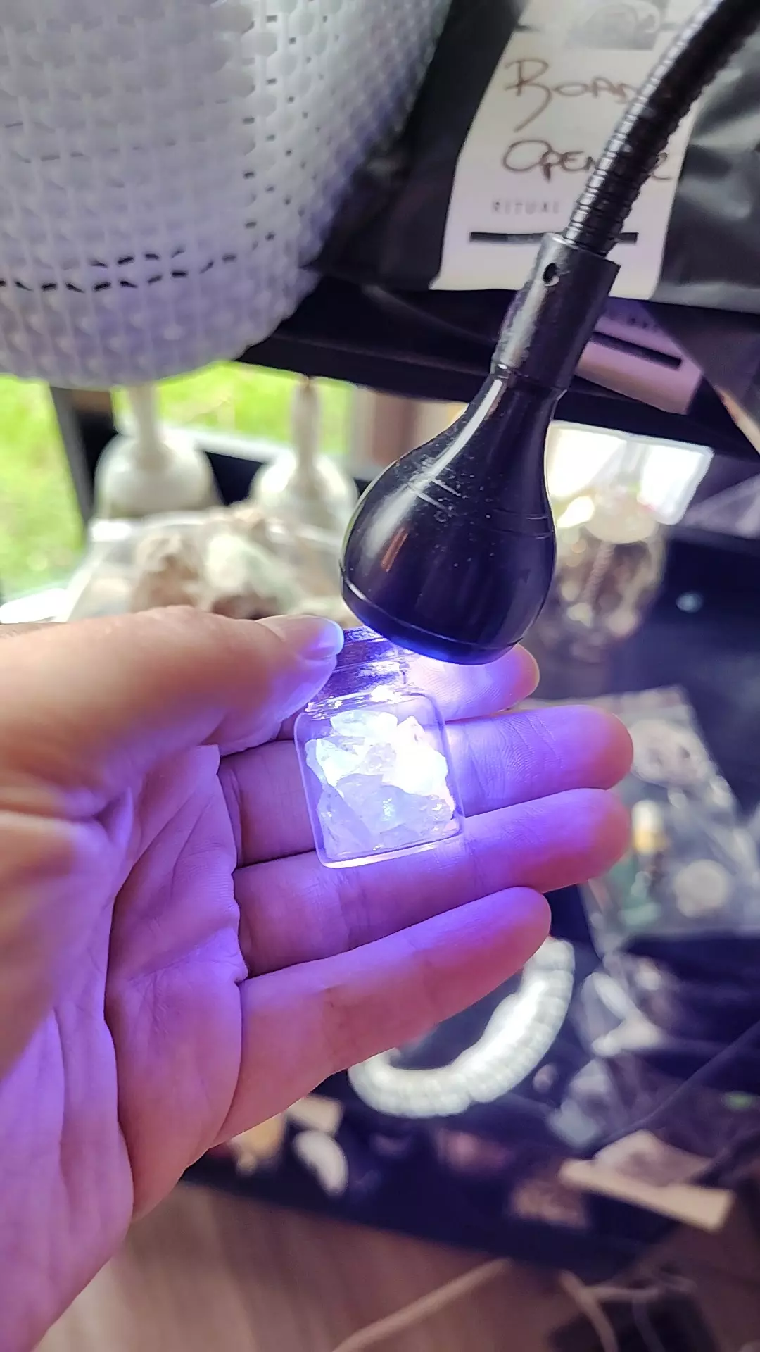 plant/Herkimer Diamond-0