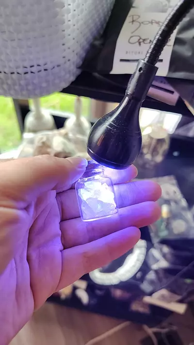 plant/Herkimer Diamond-0-thumbnail