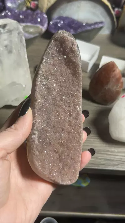 plant/Red amethyst-0-thumbnail