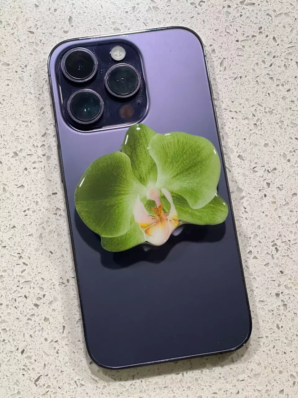 plant/Phone grip - Phal miro green dream miro-0