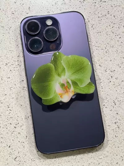 plant/Phone grip - Phal miro green dream miro-0-thumbnail