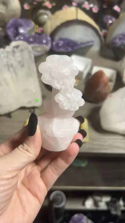 plant/RQ-0-thumbnail