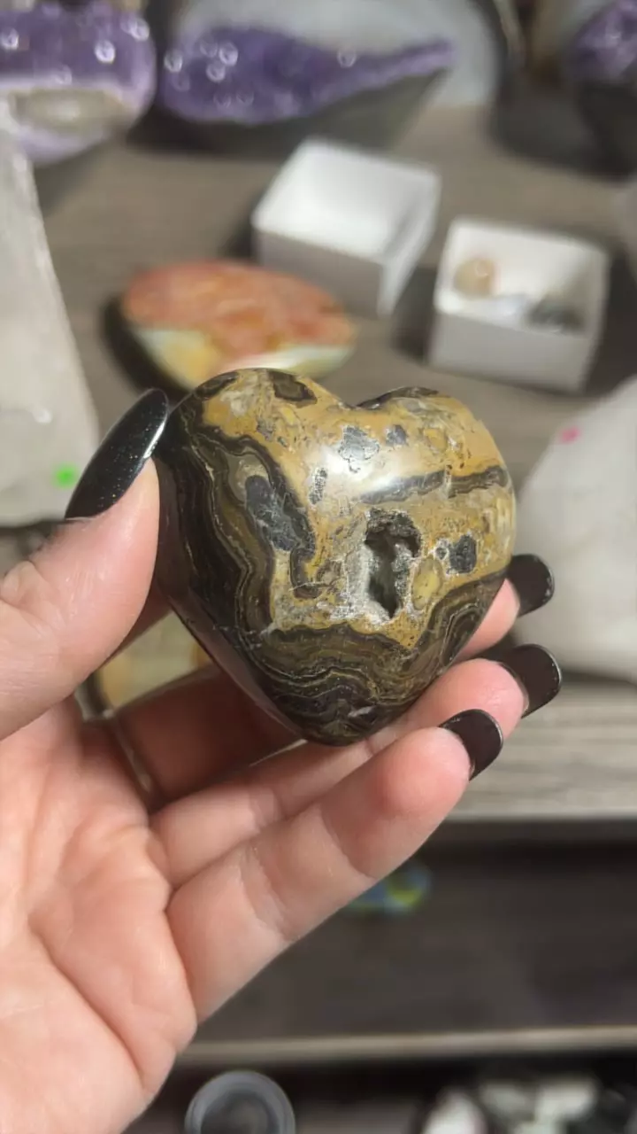 plant/Stromatolite Heart-0