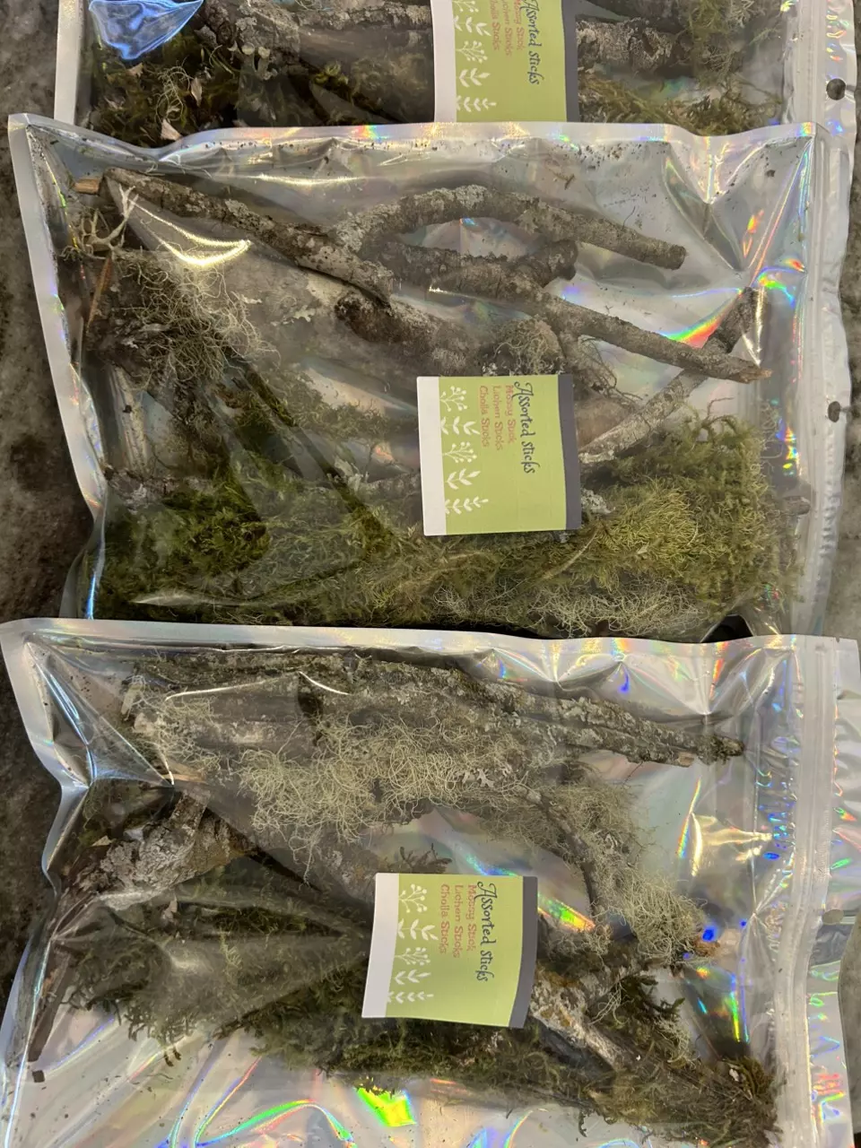 plant/Assorted sticks-0