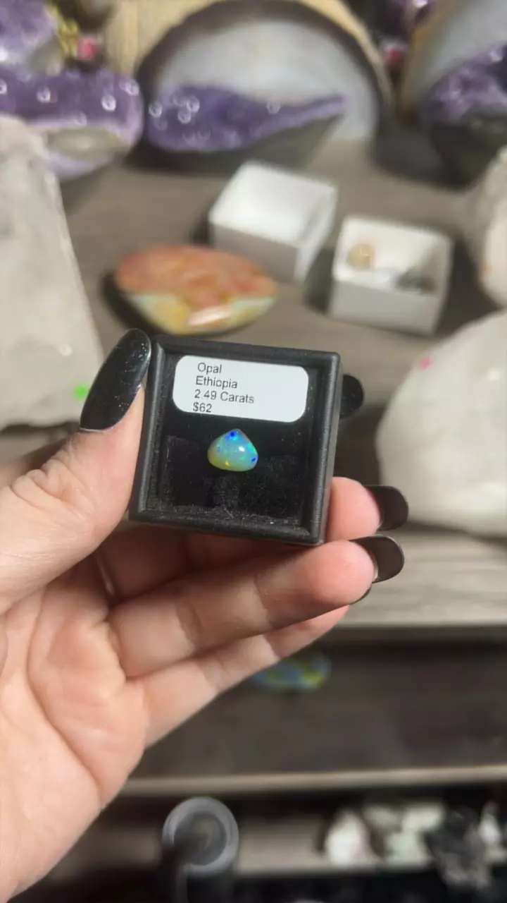 plant/Ethiopian Opal-0