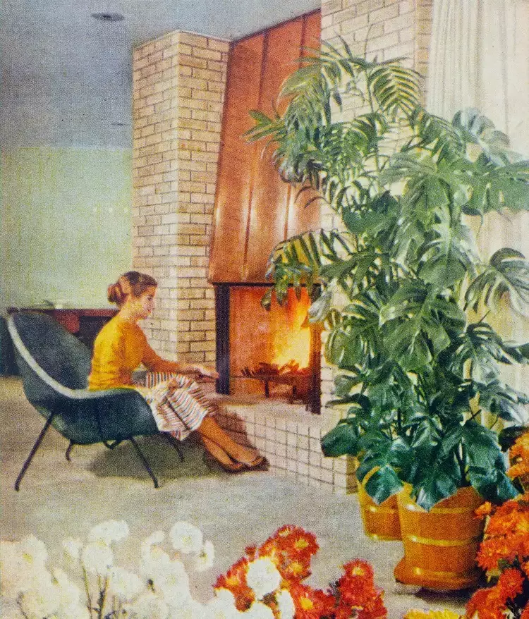 plant/Heat Pack & Insulation-0