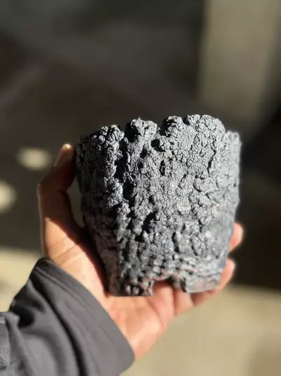 plant/Black crackle footed 4.5x4.25H-0-thumbnail