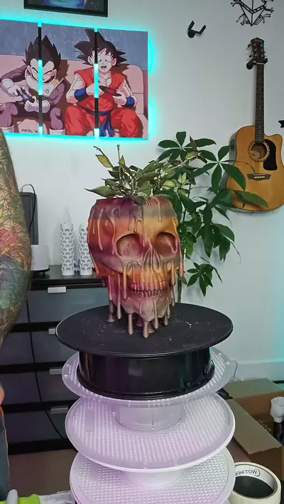 plant/melting Skull Tigerwood + Hoya Krohniana Black-0-thumbnail