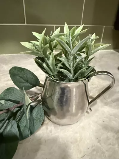 plant/Stainlews Steel Creamer-0-thumbnail