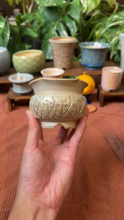 plant/076-0-thumbnail