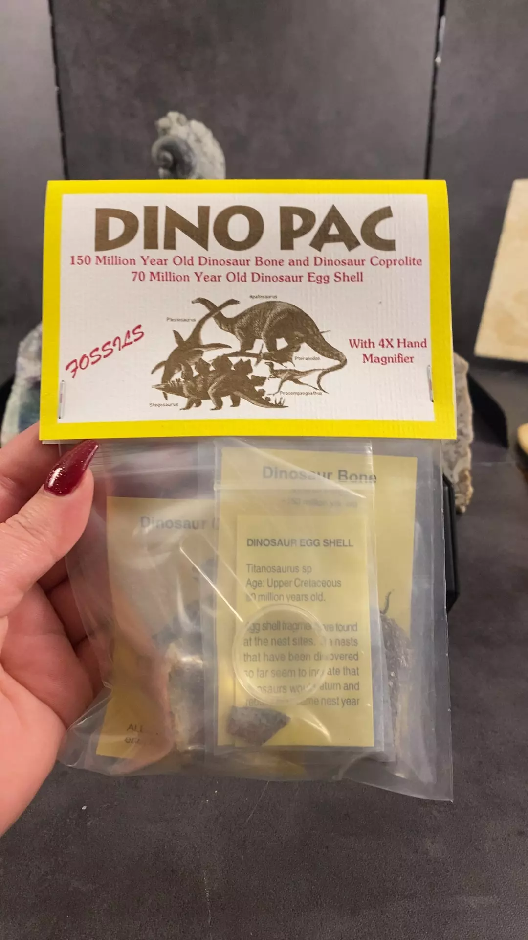 plant/Dino PAC-0
