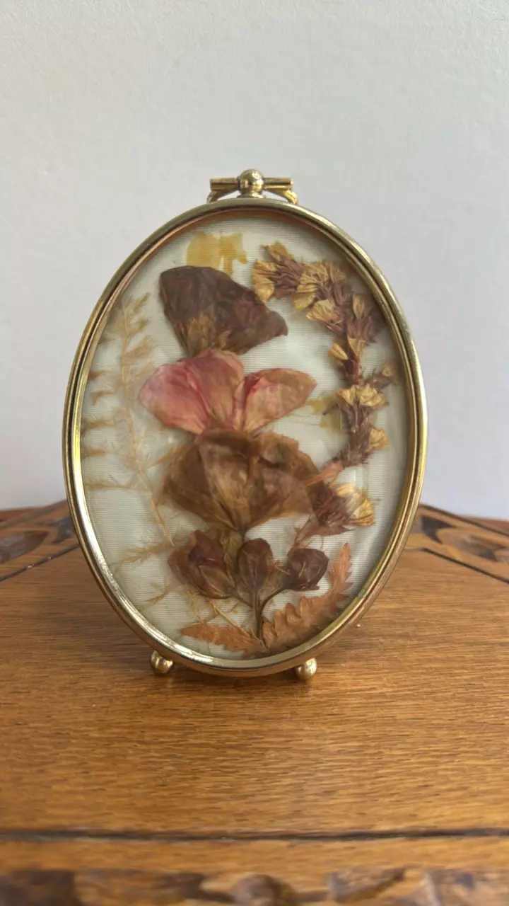 plant/pressed dried flowers in brass frame-0
