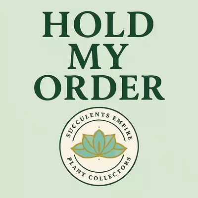 plant/Hold my order until December 1-0-thumbnail