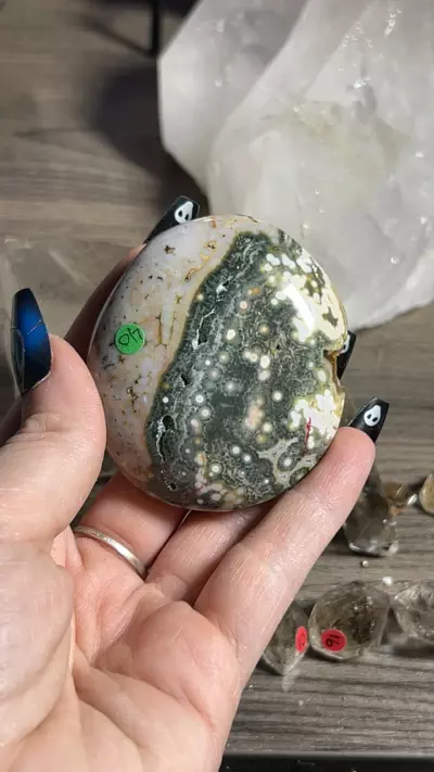 plant/OJ Palm-0-thumbnail