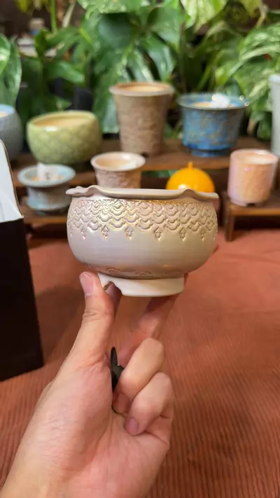 plant/077-0-thumbnail