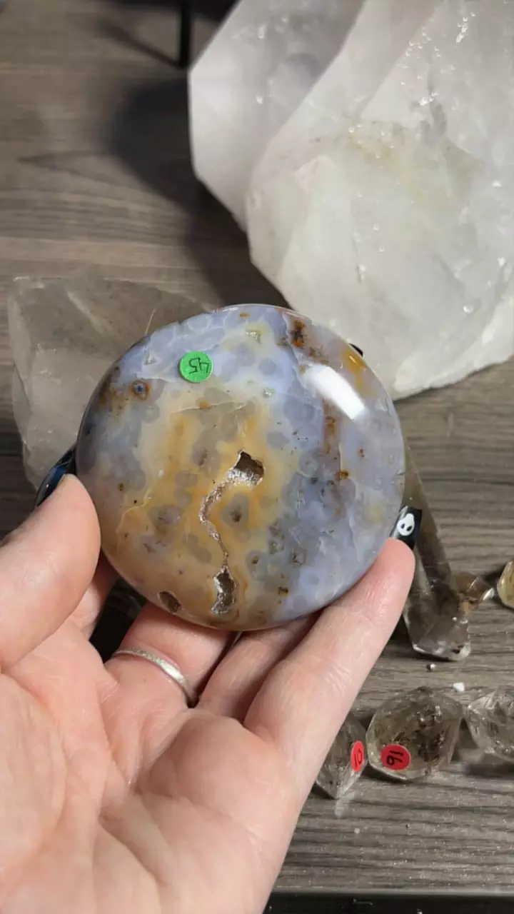 plant/Jelly OJ Palm-0