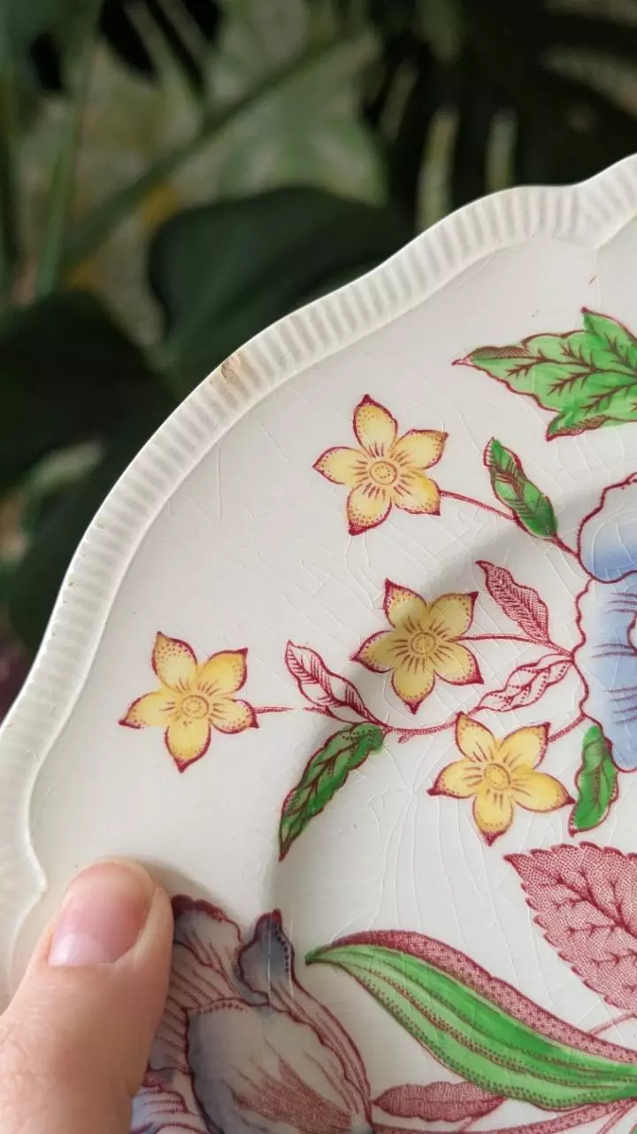 plant/johnson brothers English bouquet salad plate - 2 available-2