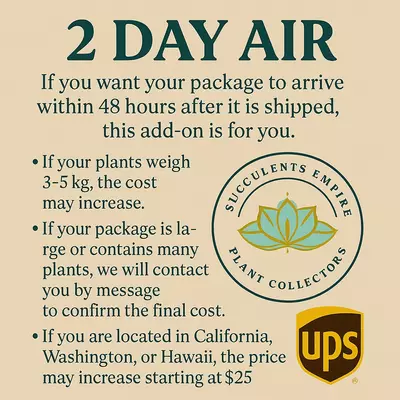 plant/2 day air-0-thumbnail