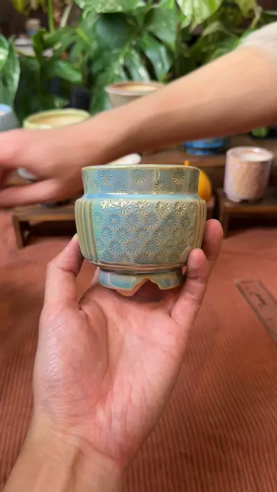 plant/087-0-thumbnail