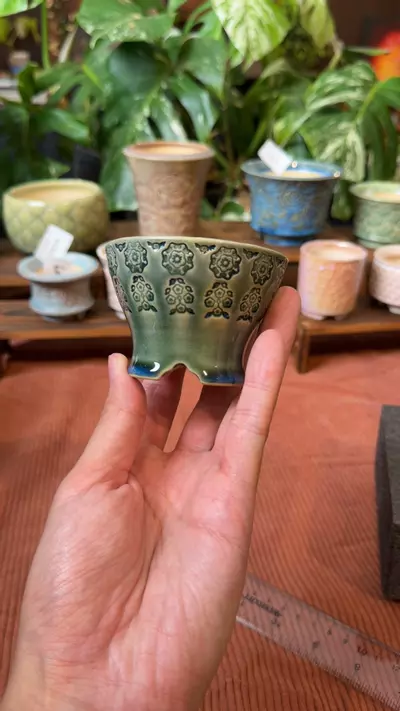 plant/100-0-thumbnail