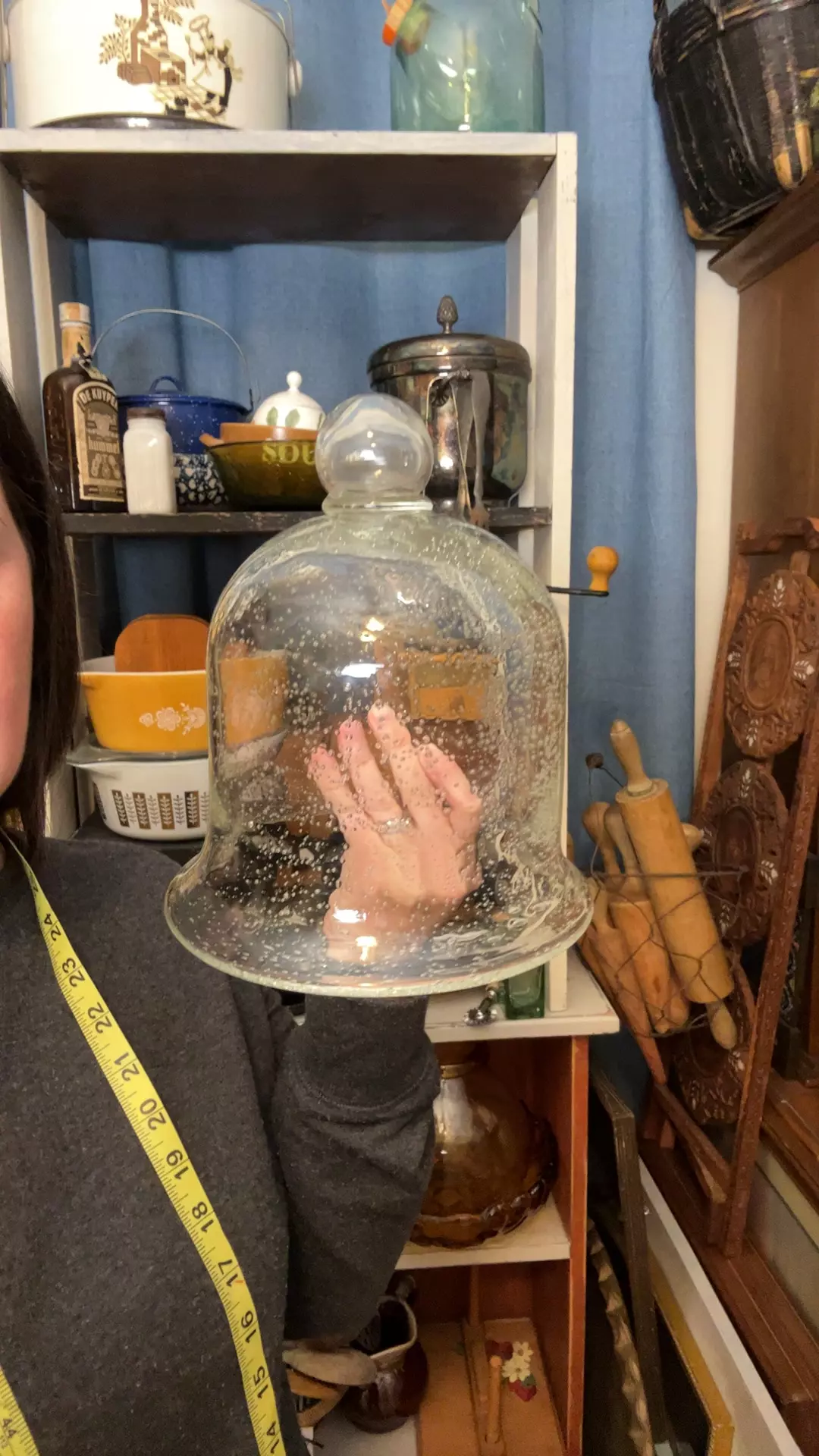 plant/Bubble glass cloche-0