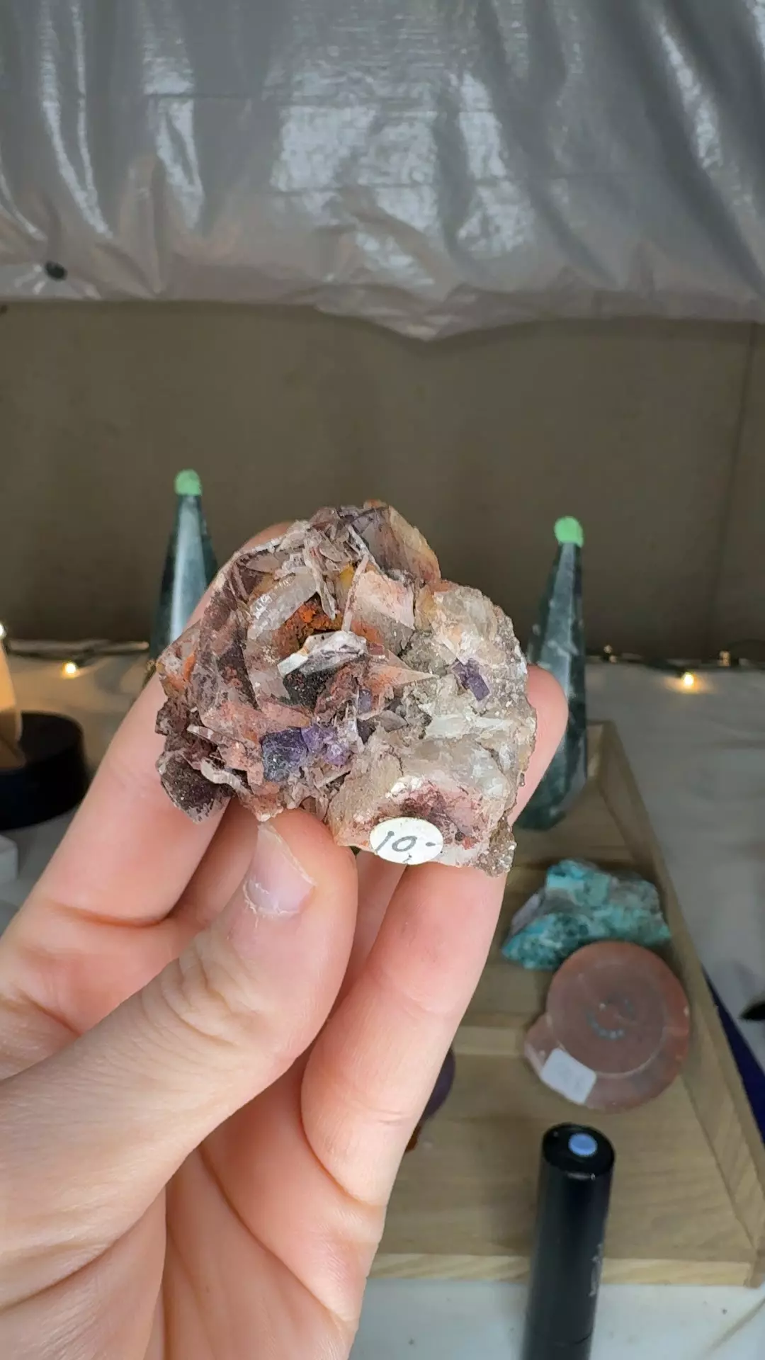 plant/Ojuela Fluorite w/ Barite $10 2-0