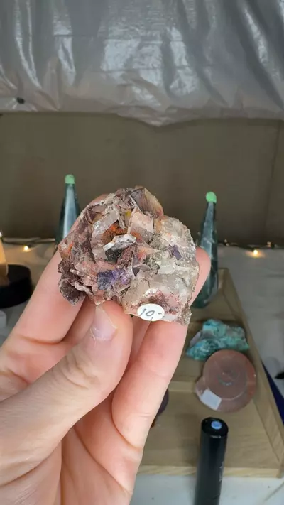 plant/Ojuela Fluorite w/ Barite $10 2-0-thumbnail