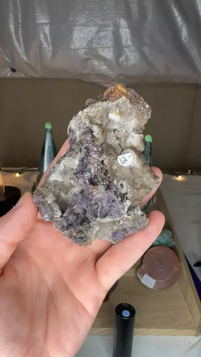 plant/Ojuela Fluorite w/ Barite $12-0-thumbnail