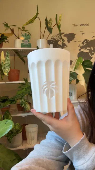 plant/Self watering pot set-0-thumbnail