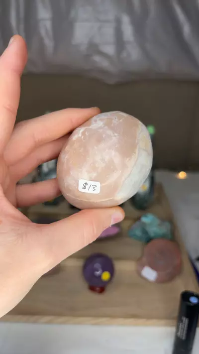 plant/Pink Opal Palm $13-0-thumbnail