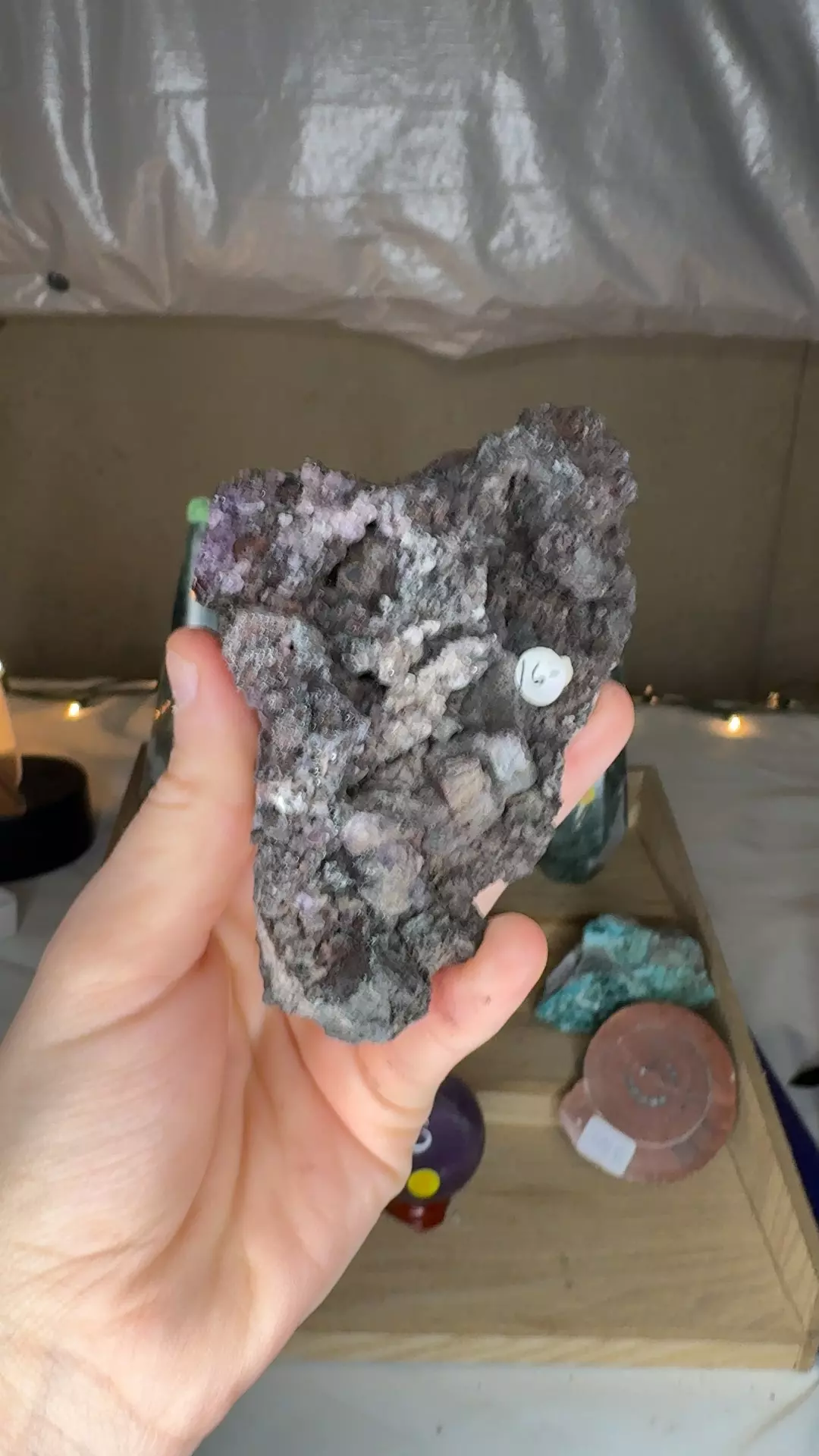 plant/Ojuela Fluorite w/ Barite-0