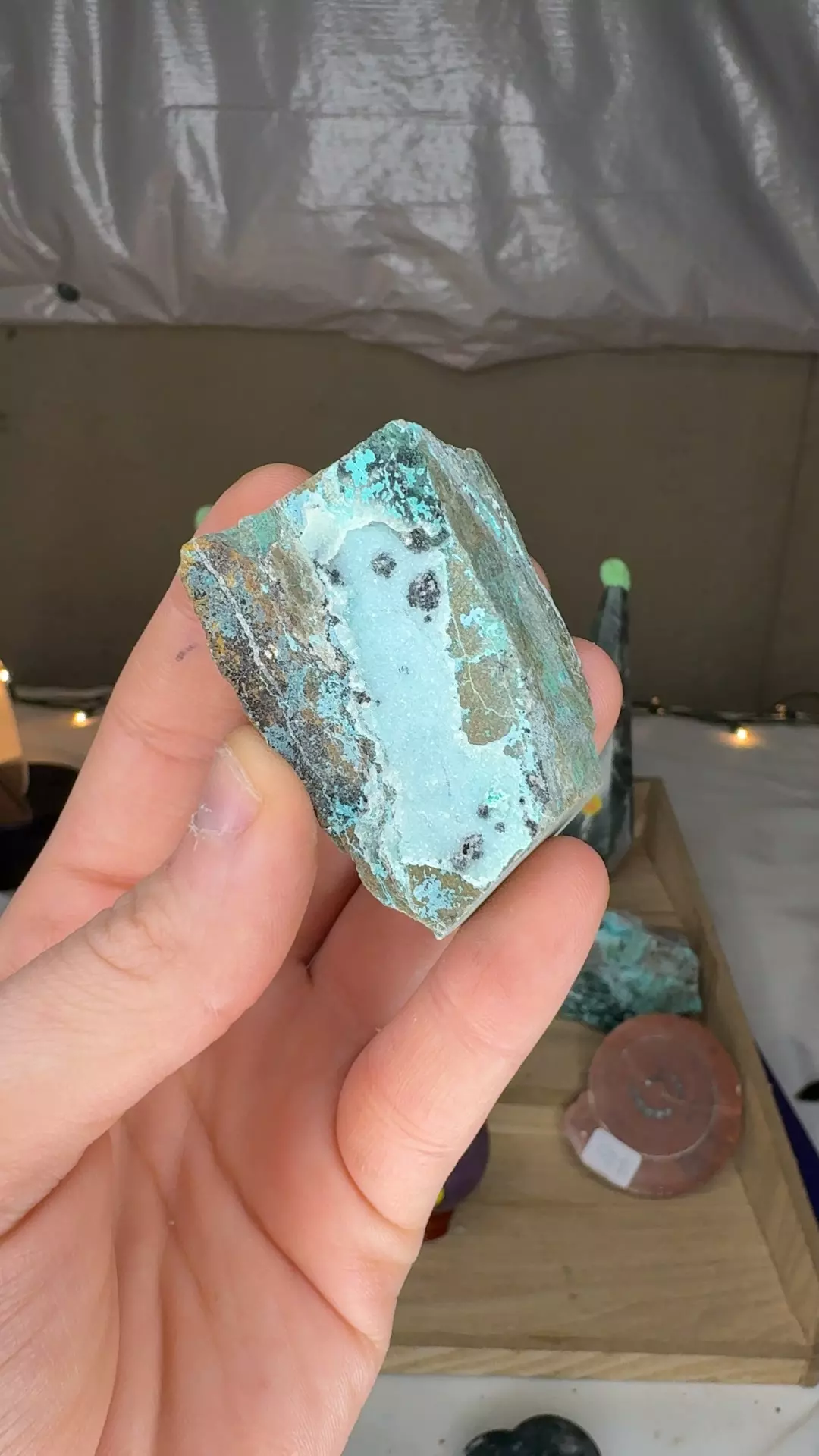 plant/Druzy Chrysocolla Congo $12-0