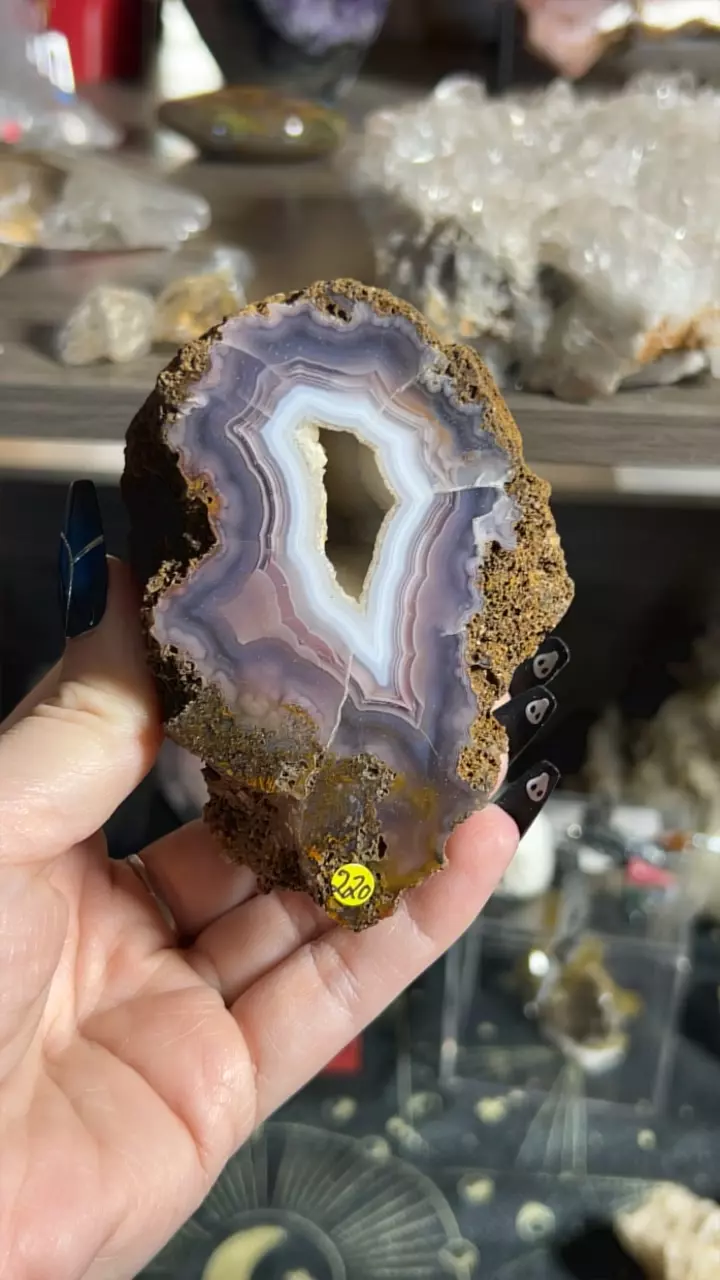 plant/Laguna Agate-0