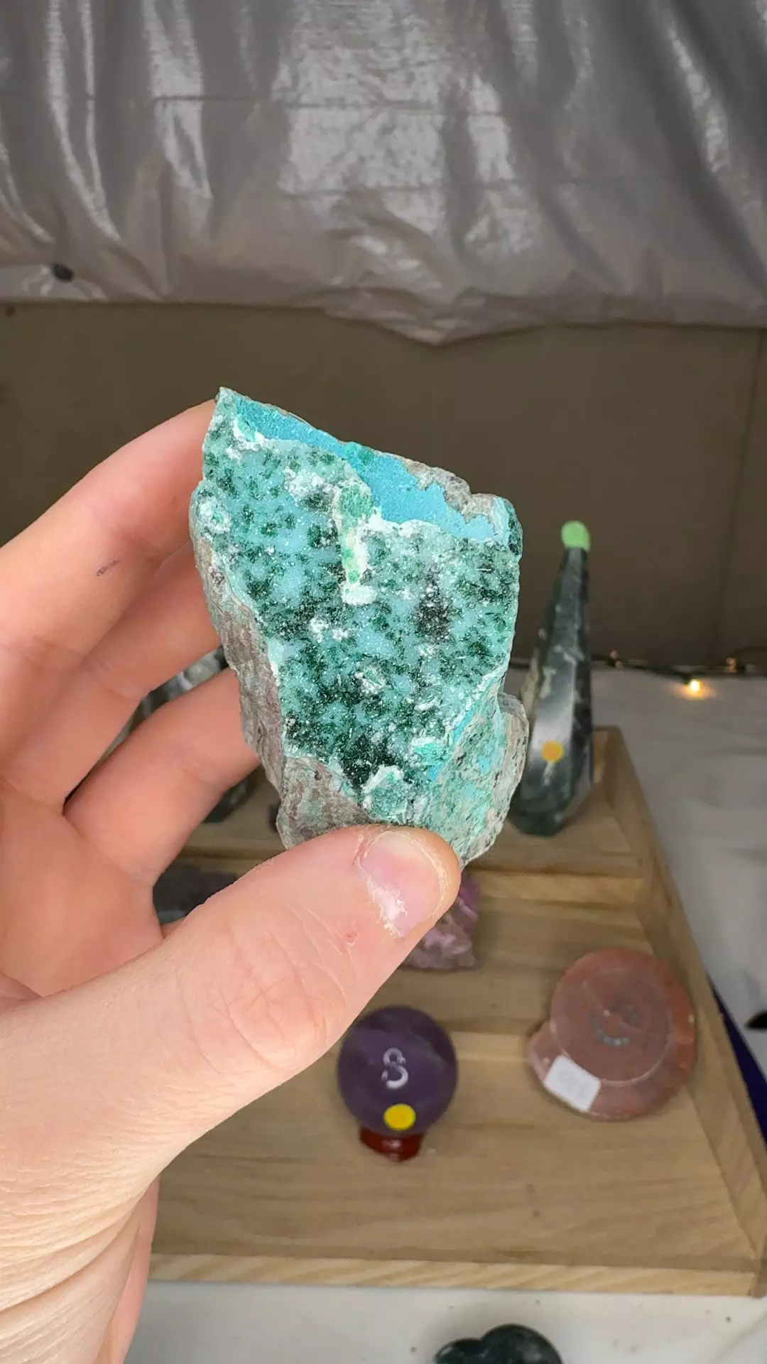 plant/Druzy Chrysocolla Congo $33-0