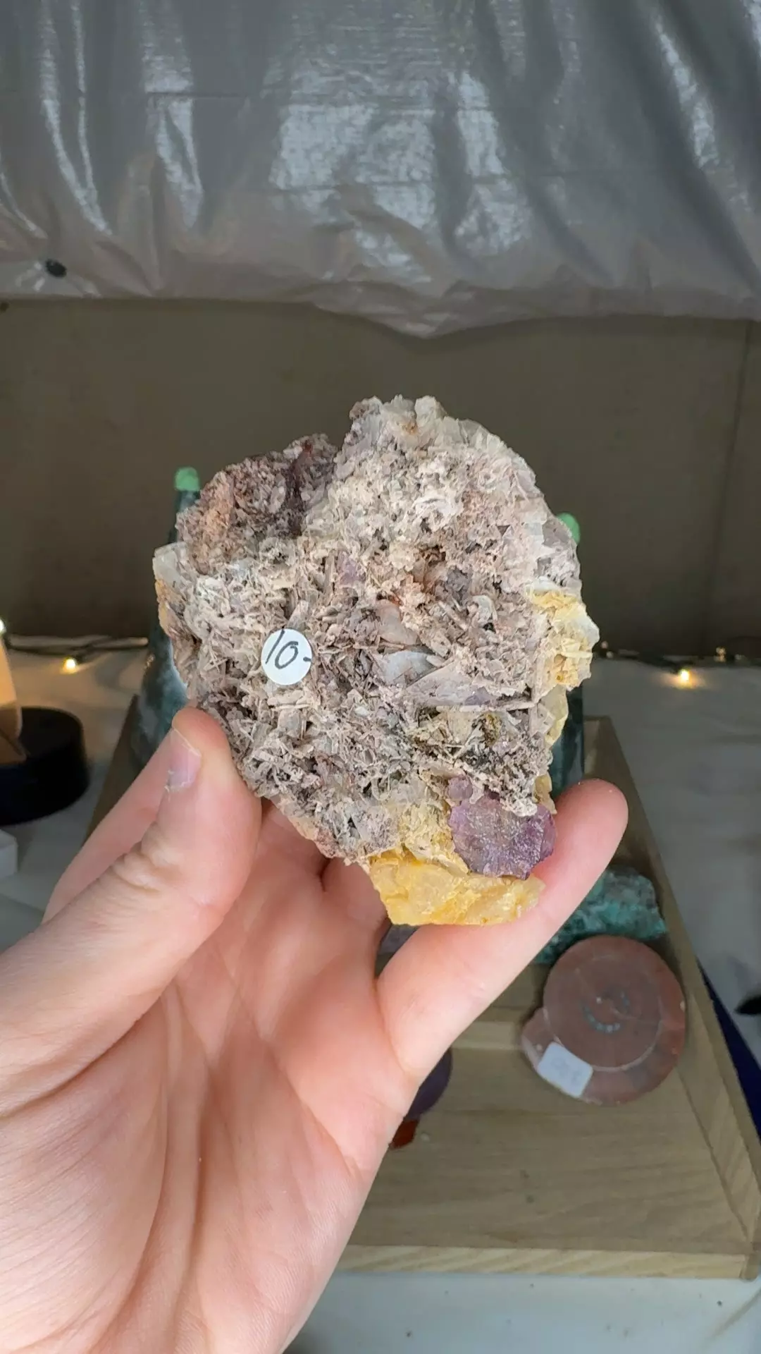 plant/Ojuela Fluorite w/ Barite $10 1-0