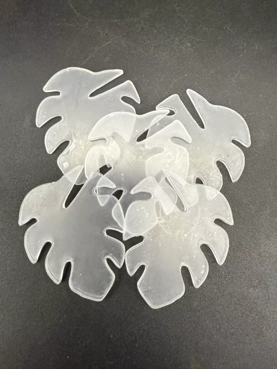 plant/Acrylic Monstera Plant Tags (Set of 5)-0