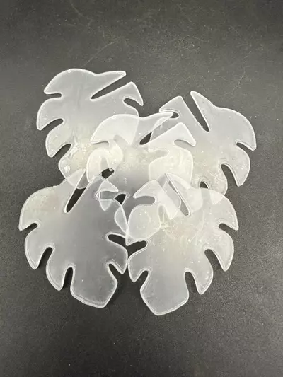 plant/Acrylic Monstera Plant Tags (Set of 5)-0-thumbnail