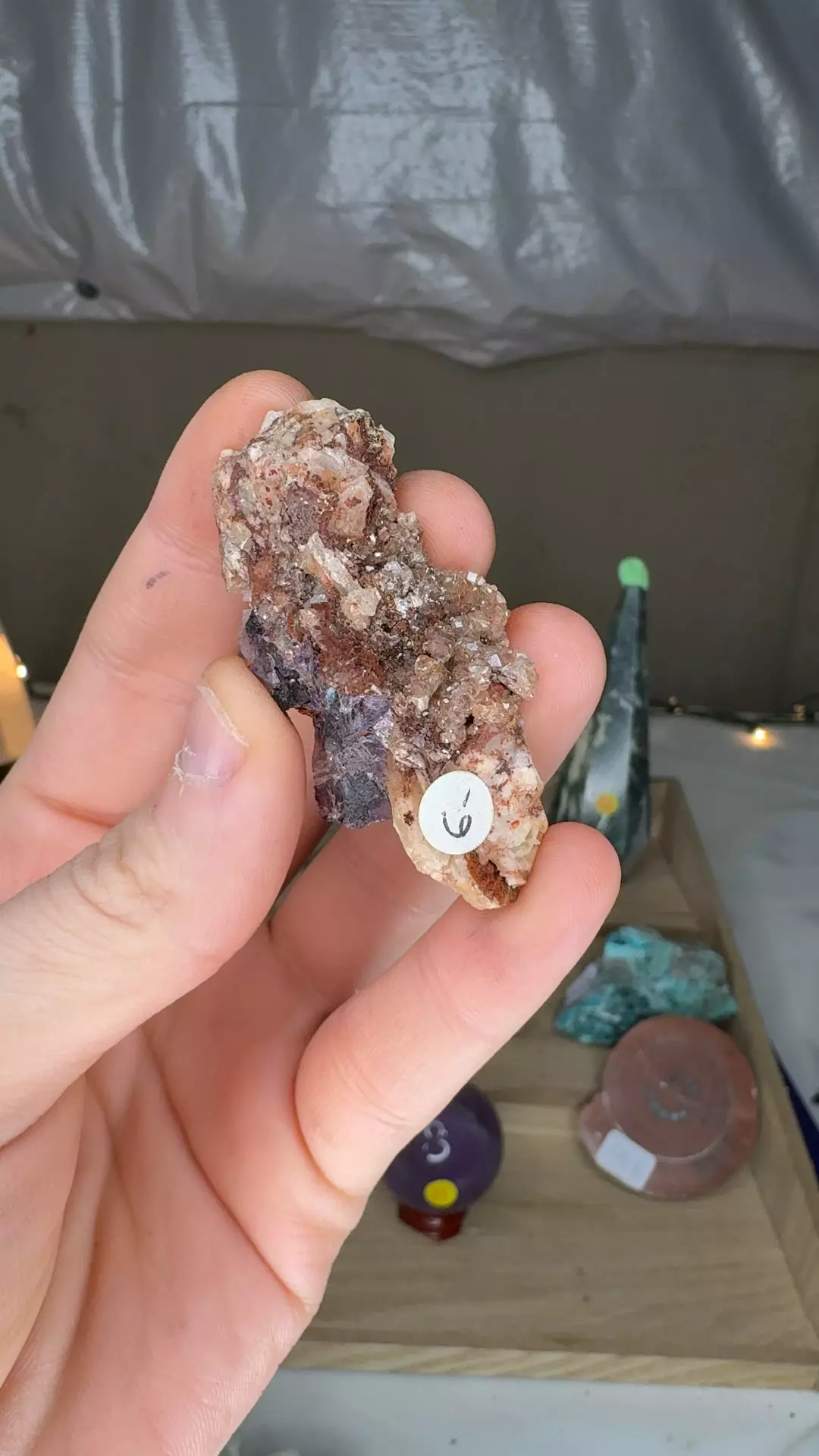 plant/Ojuela Fluorite w/ Barite $6-0