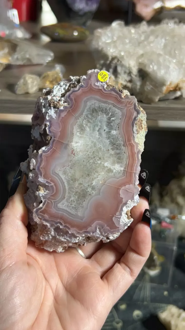 plant/Laguna Agate-0