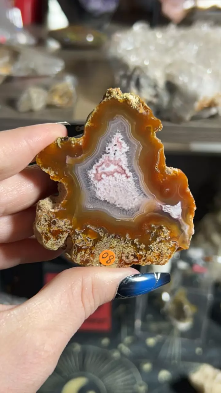 plant/Laguna Agate-0
