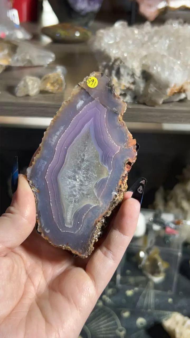 plant/Laguna Agate-0