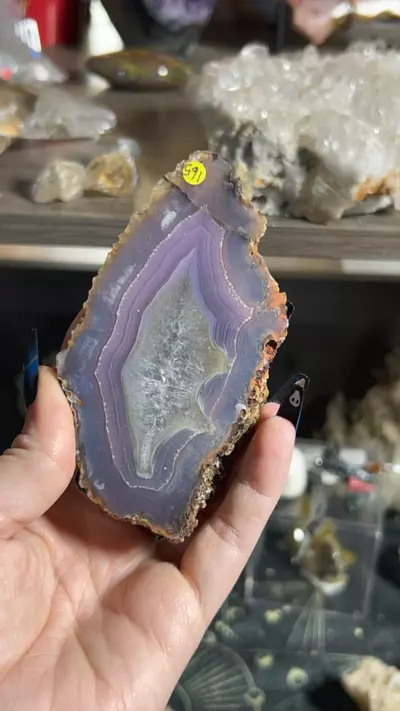 plant/Laguna Agate-0-thumbnail