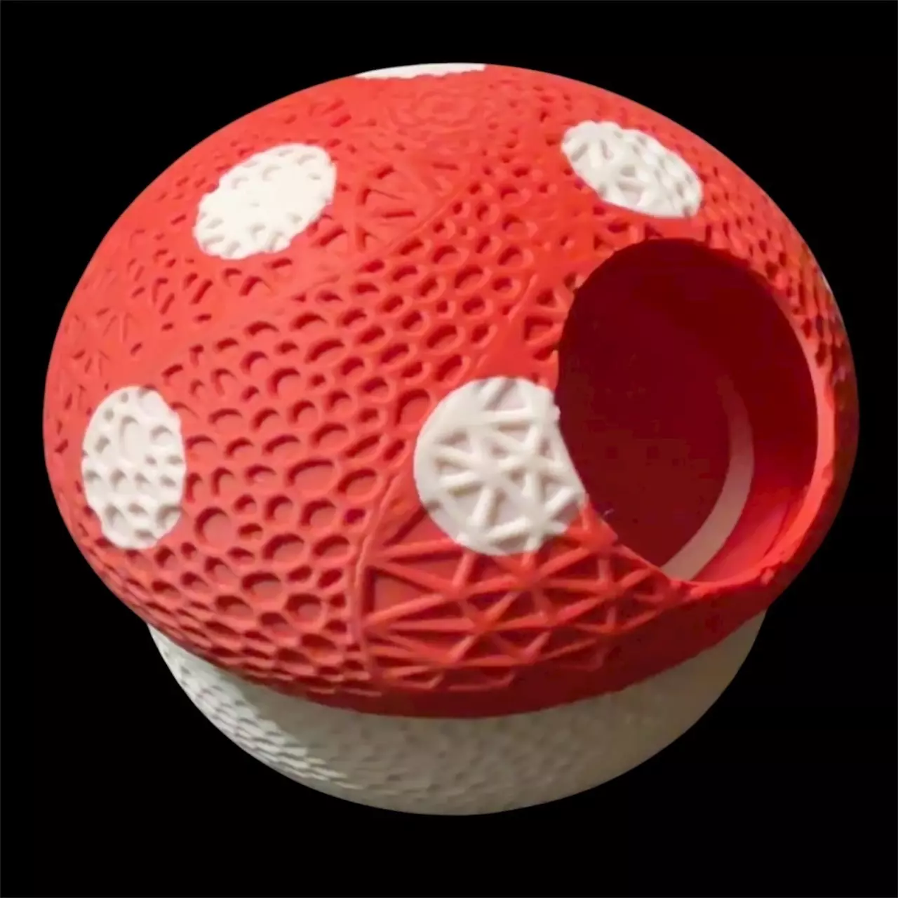 plant/medium mushy laybox-0