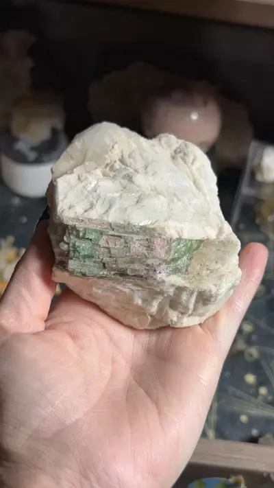 plant/Watermelon Tourmaline from Namibia-0-thumbnail