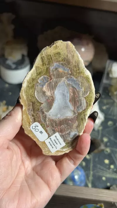 plant/Mushroom Jasper Slab-0-thumbnail